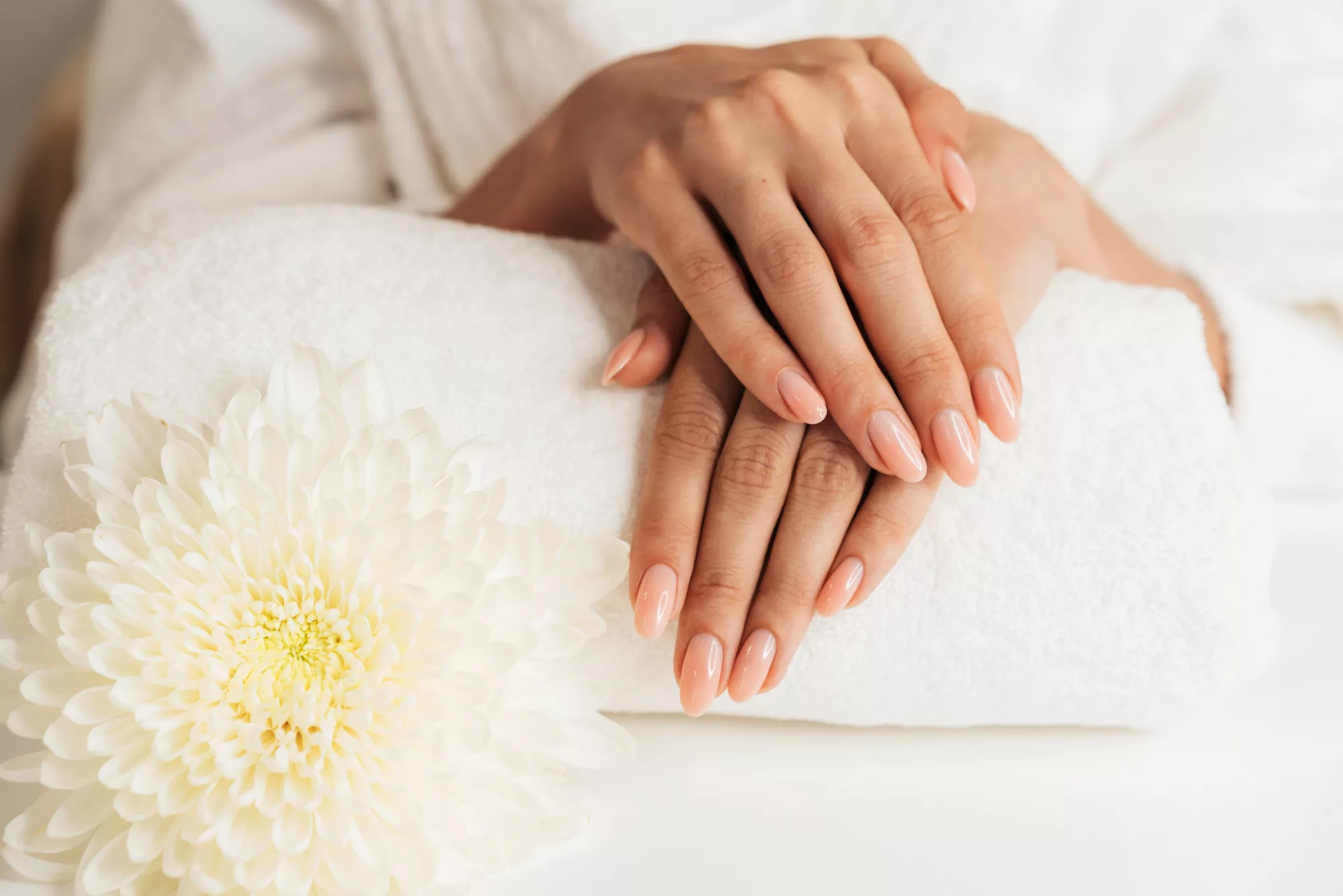 Manicura elegante con manicura francesa sobre fondo blanco